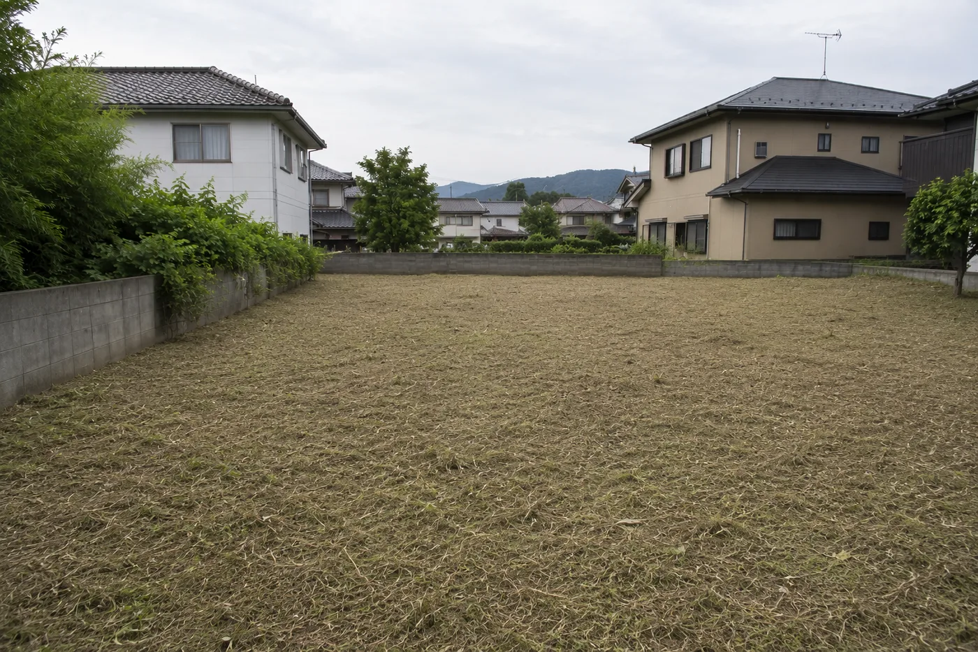 作業後の空き地。雑草が刈られて地面が見える状態