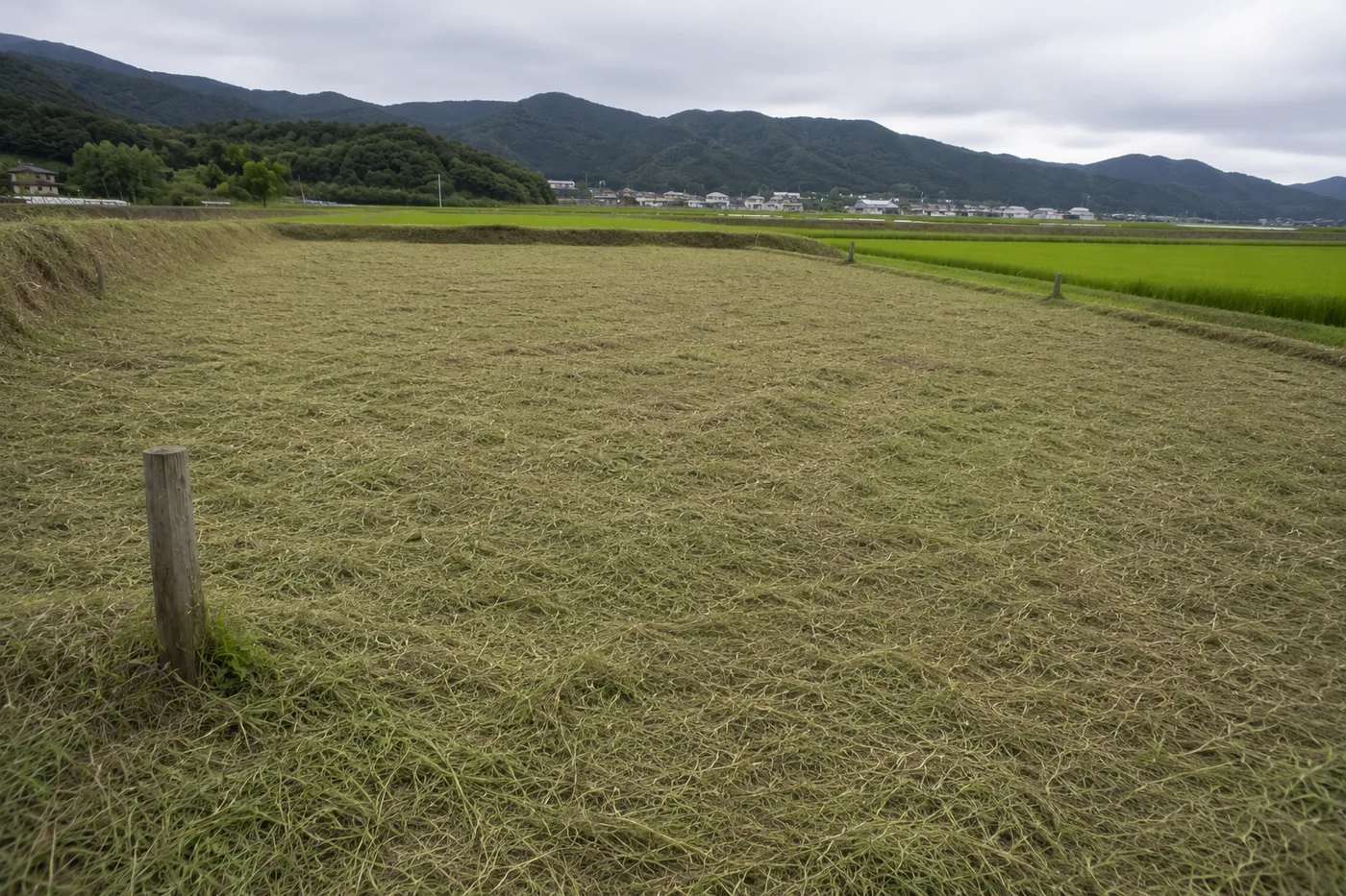 作業後の耕作放棄地。雑草が刈られて整地された状態